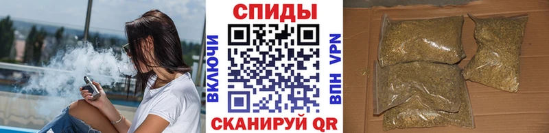 маркетплейс телеграм Плёс Бутират BDO 33%
