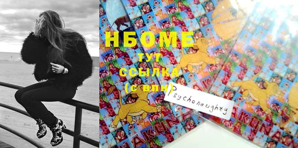 бошки Белокуриха