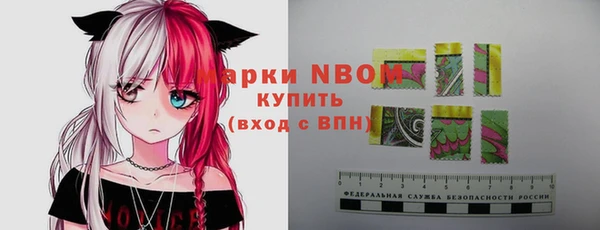 бошки Белокуриха