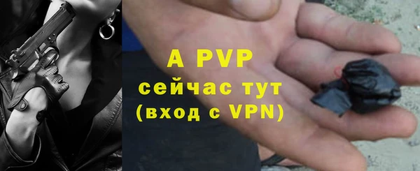 бошки Белокуриха