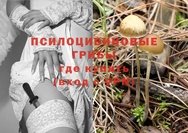 альфа пвп Беломорск
