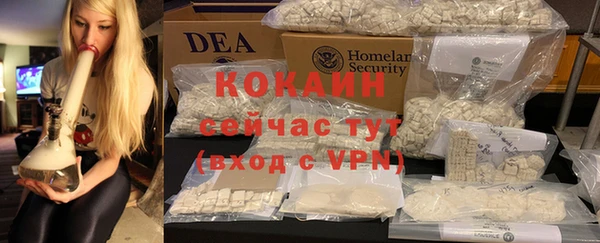 бошки Белокуриха