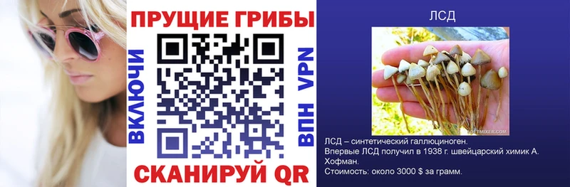 Галлюциногенные грибы ЛСД  где купить наркоту  Плёс 